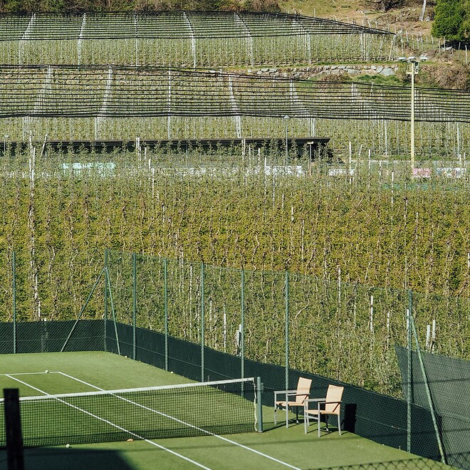 Campo da tennis tra frutteti di mele, in mezz’ombra