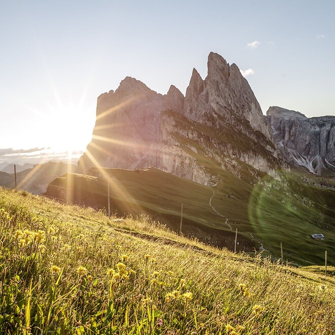Dolomiti con prato fiorito e sole sorgente