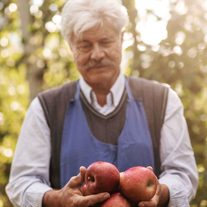 Uomo anziano che mostra mele fresche in un frutteto illuminato dal sole
