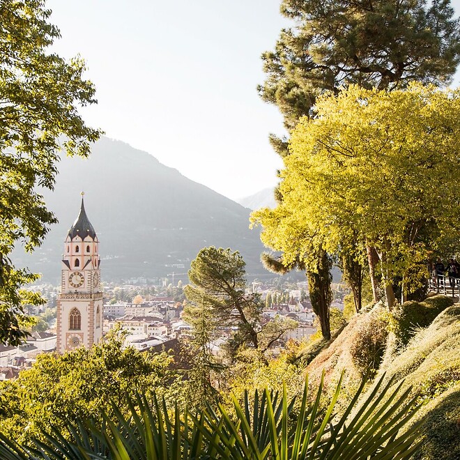 Panoramic trail over Merano with view of spa town and mountains