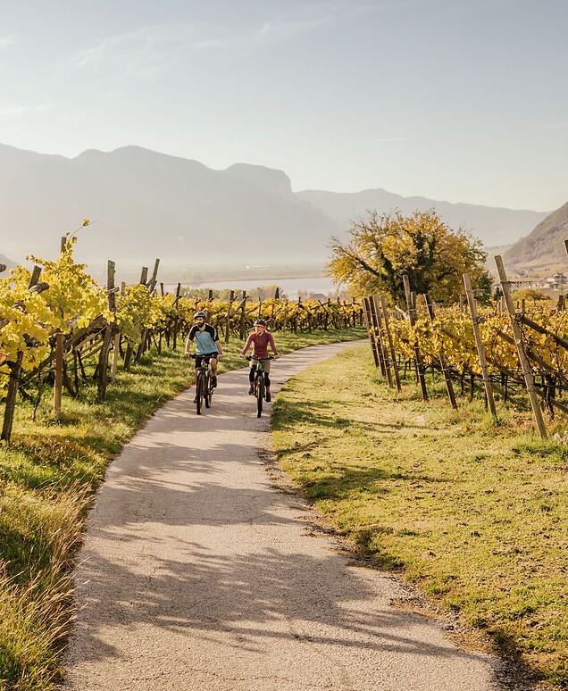 Woman and man riding e-bikes through autumn vineyards