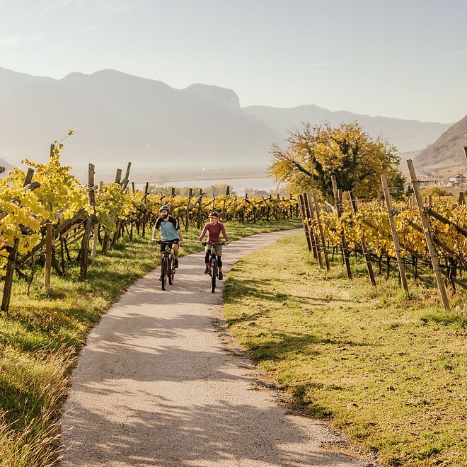 Woman and man riding e-bikes through autumn vineyards