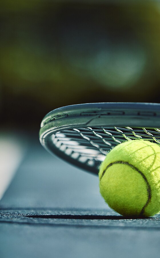 Tennis ball and tennis racket