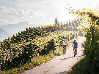 Woman and man cycling between apple orchards and vineyards