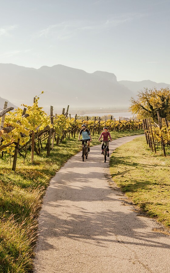 Woman and man riding e-bikes through autumn vineyards