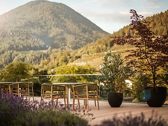 Sonnenterrasse mit Tischen und Stühlen mit im Grünen