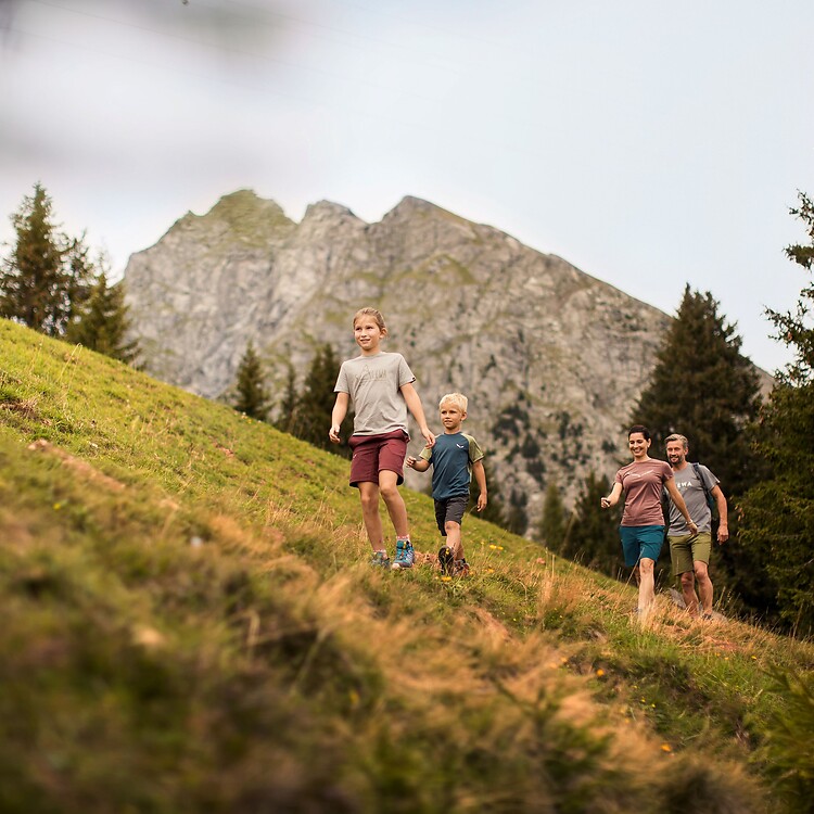 Familienwanderung auf Meran 2000