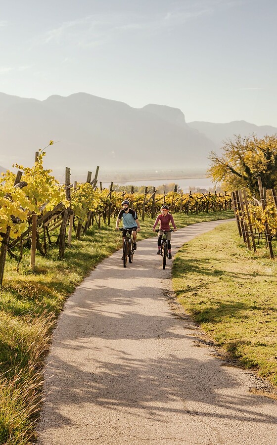 Woman and man riding e-bikes through autumn vineyards