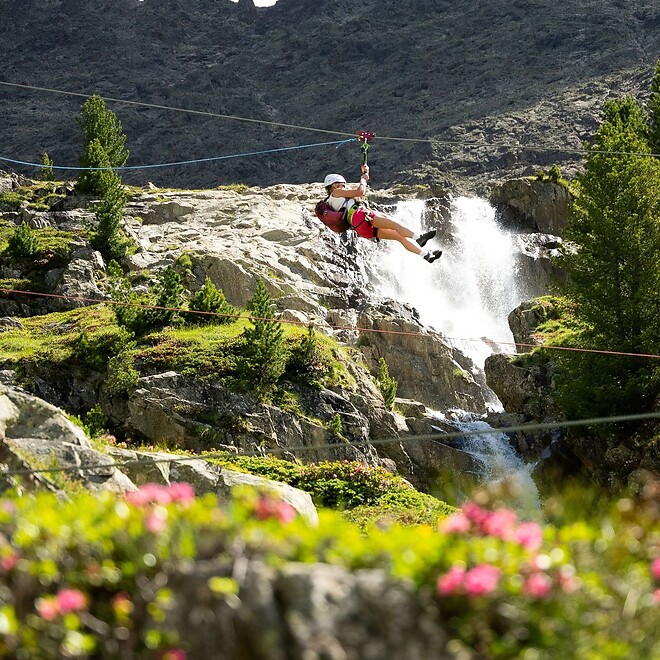 Klettersteig während der Alpenrosenblüte