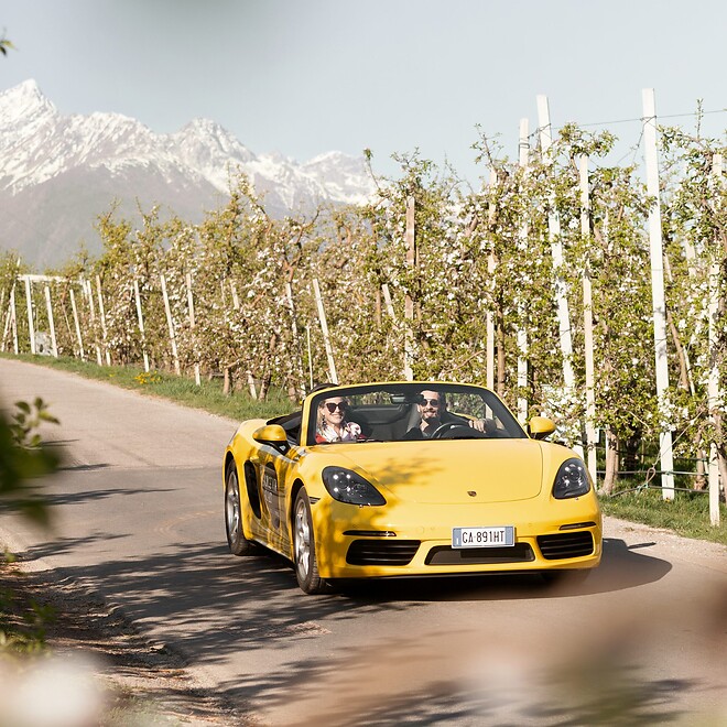 Mann und Frau fahren gelben Porsche Cabrio durch Apfelhaine in Alpen