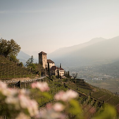 Aussicht vom Marlinger Waalweg auf die Apfelblüte