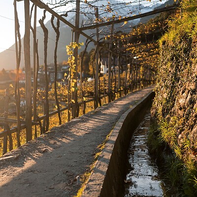 Wandern am Waalweg durch das Meraner Land