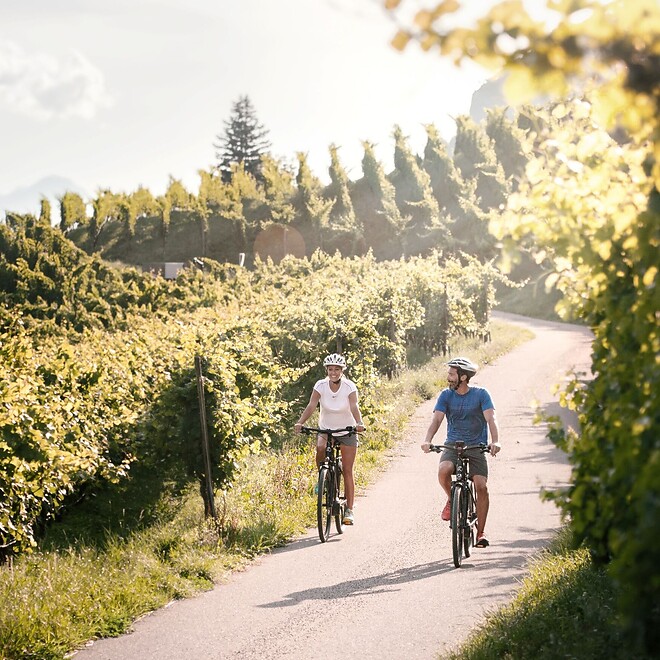 Frau und Mann beim Radfahren zwischen Apfelplantagen und Weinbergen