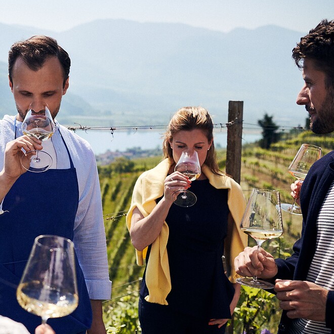 Weingut Besichtung und Verkostung am Kalterer See