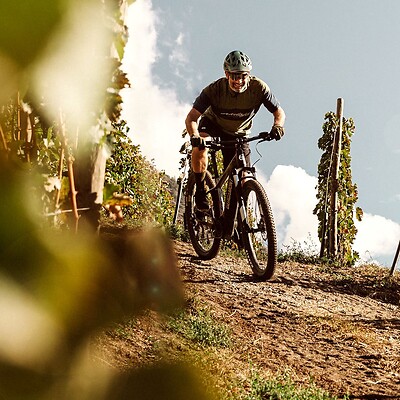 Mann beim Mountainbiken zwischen Weinreben