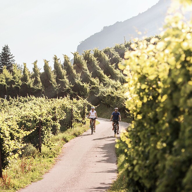 Frau und Mann beim E-biken zwischen Weinreben