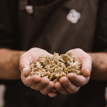 Wine & Delight: The Gourmet Autumn in Naturno