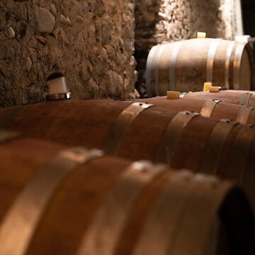Wine & gourmet week (in German language)