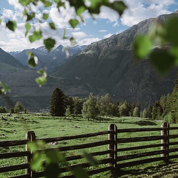 GreenCard Naturno