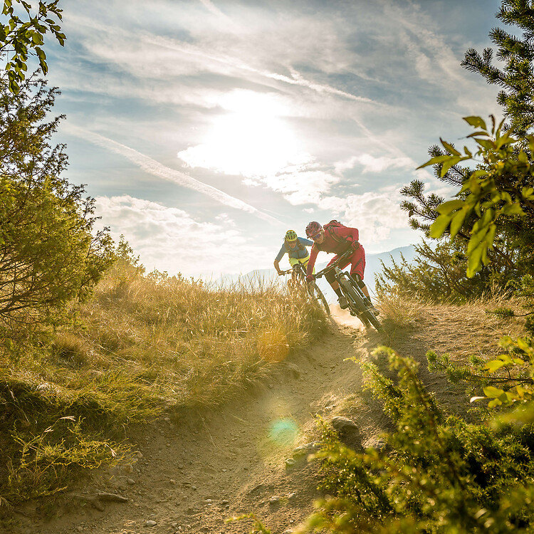 Mountainbiker fahren den Trail entlang