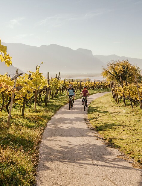 E-biking among the vineyards at Lake Caldaro