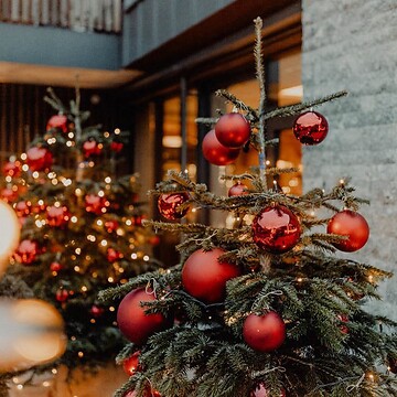Vorweihnachtszeit -25%